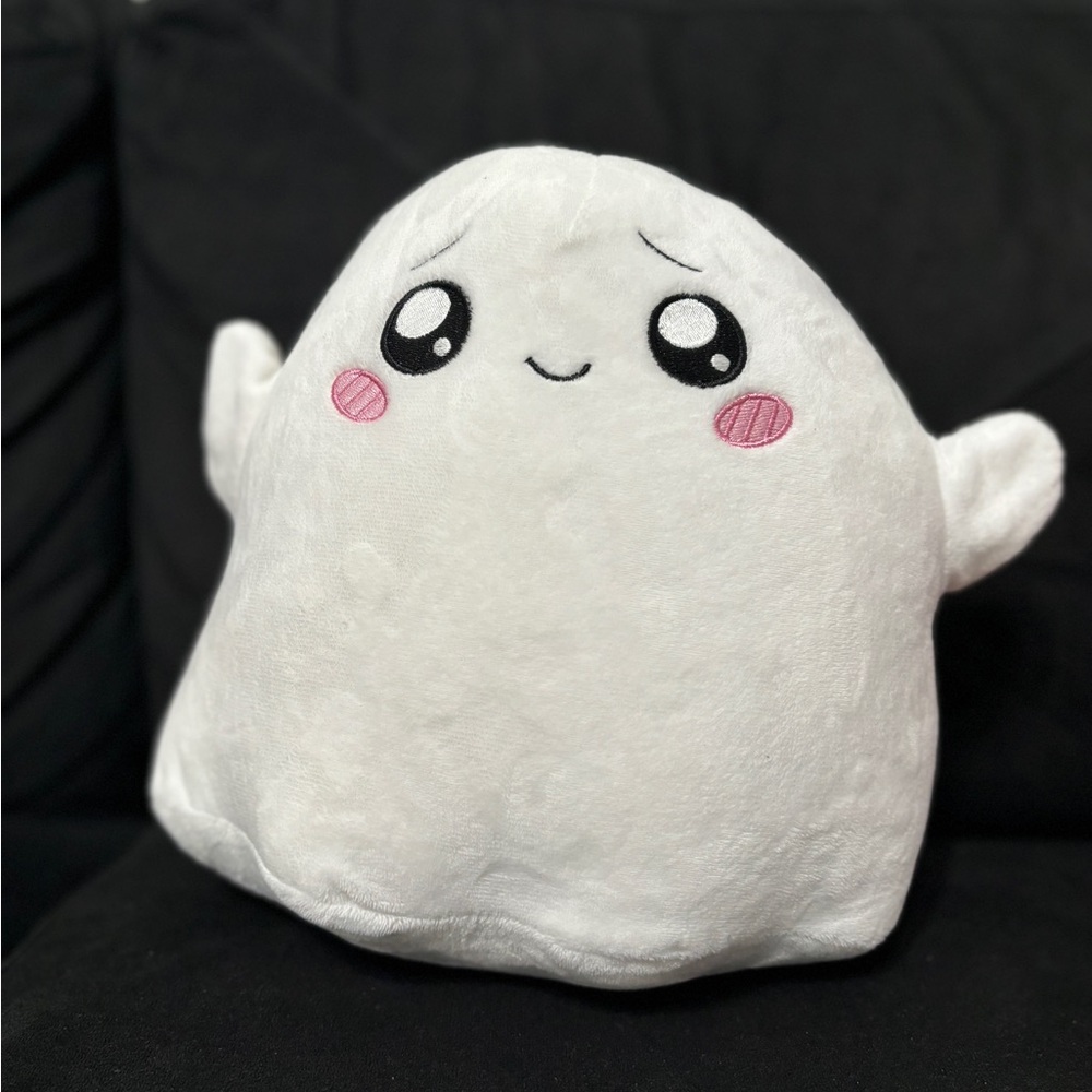 Lanky Box Plush- 9”X12”